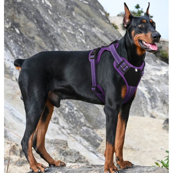 No Pull Training Dog Harness – Anti-Pull Control with Wide Chest Panel Pet harness, Built for Large Breeds and Daily Walks - Image 5