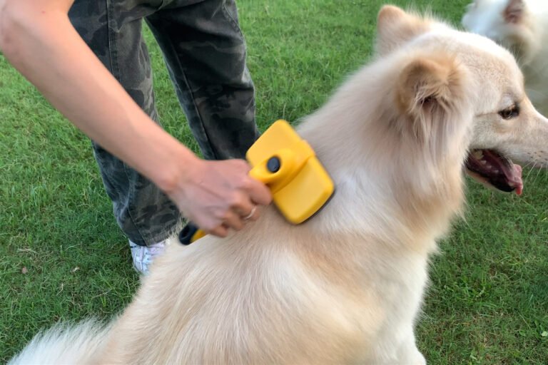 Cepillo para mascotas